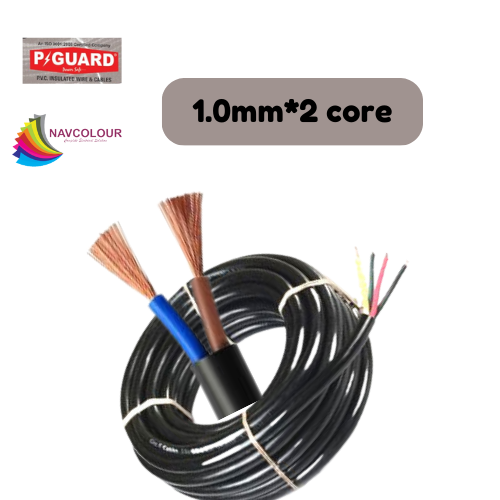 P GUARD 1.0 SQMM 2 CORE WIRE 90 MTR